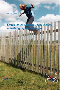 Læreplasser i kommunesektoren – omfang og utfordringer