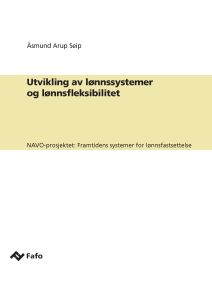 Utvikling av lønnssystemer