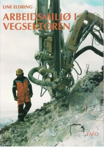 Arbeidsmiljø i vegsektoren