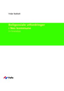 Boligsosiale utfordringer i Nes kommune