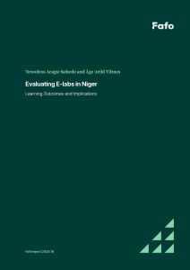 Evaluating E-labs in Niger