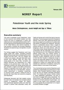 Palestinian youth and the Arab Spring