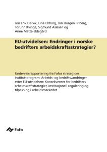 EU-utvidelsen: Endringer i norske bedrifters arbeidskraftsstrategier?
