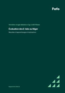 Évaluation des E-labs au Niger