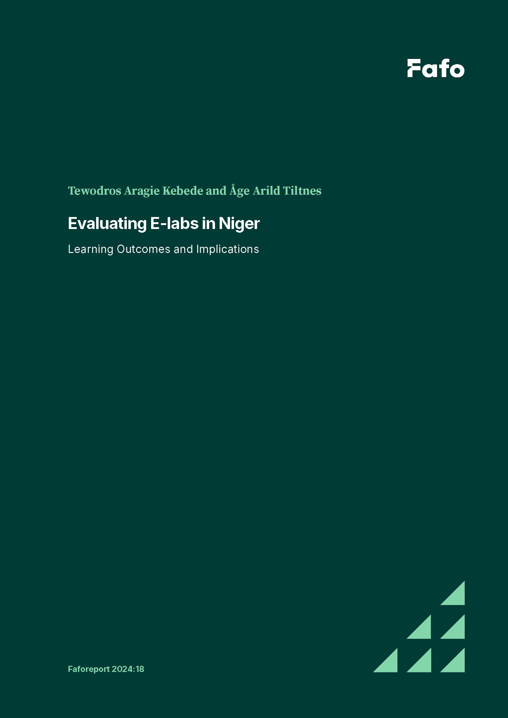 Evaluating E-labs in Niger