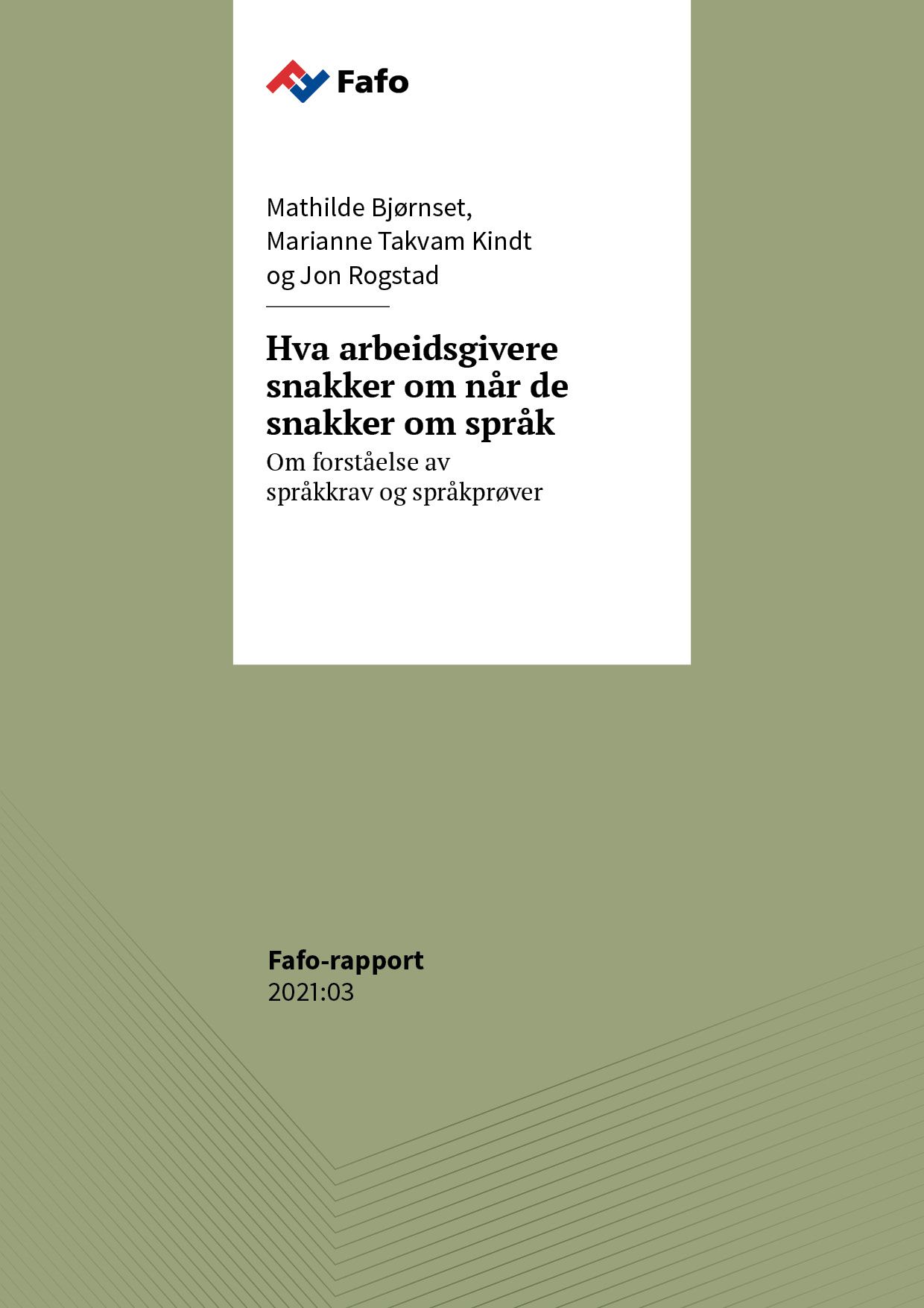 Hva arbeidsgivere snakker om  når de snakker om språk