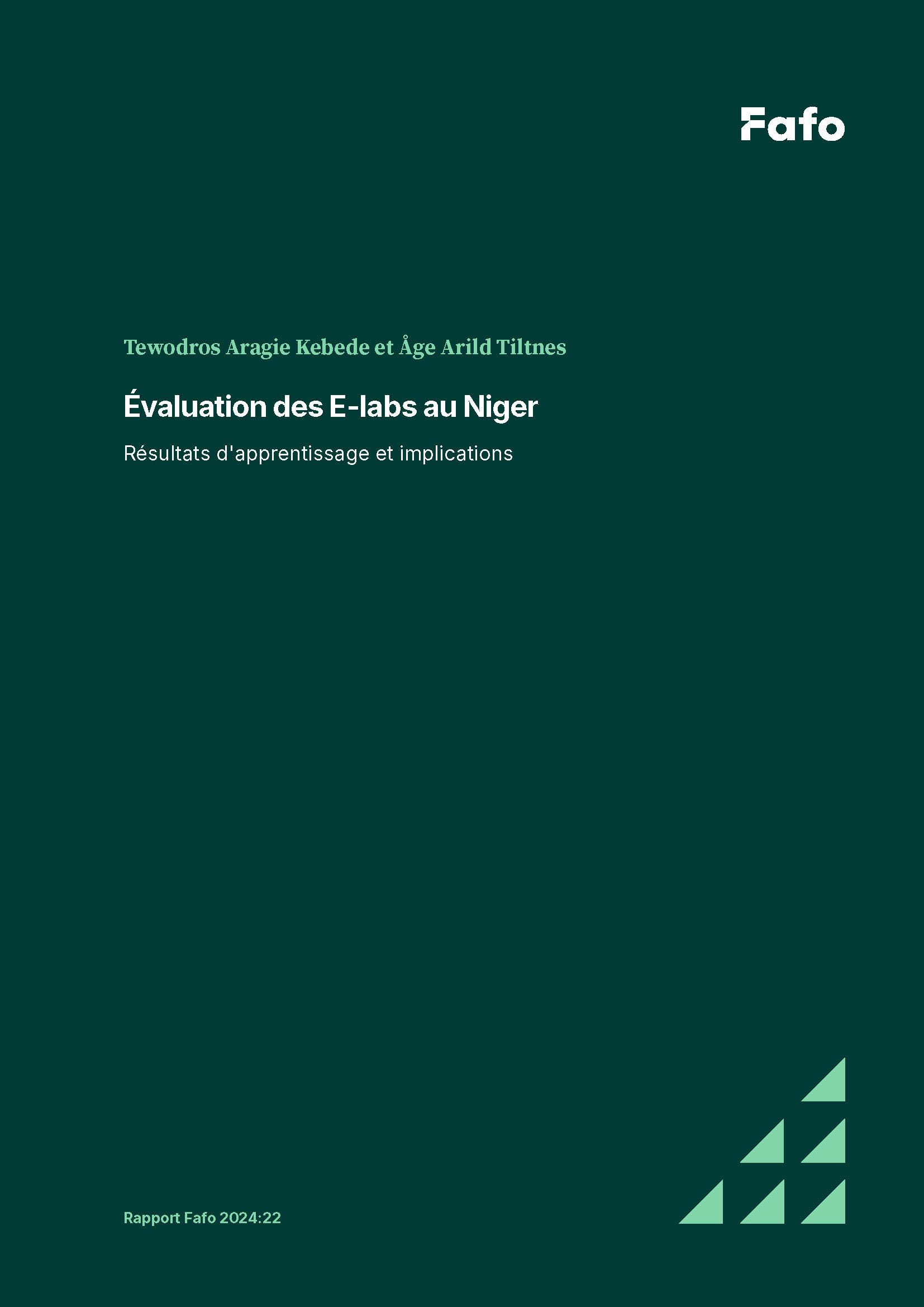 Évaluation des E-labs au Niger