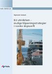 EU-utvidelsen. Mulige tilpasningsstrategier i norske skipsverft