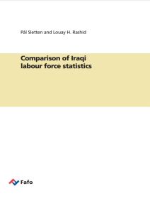 Comparison of Iraqi labour force statistics