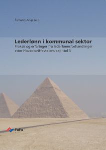 Lederlønn i kommunal sektor