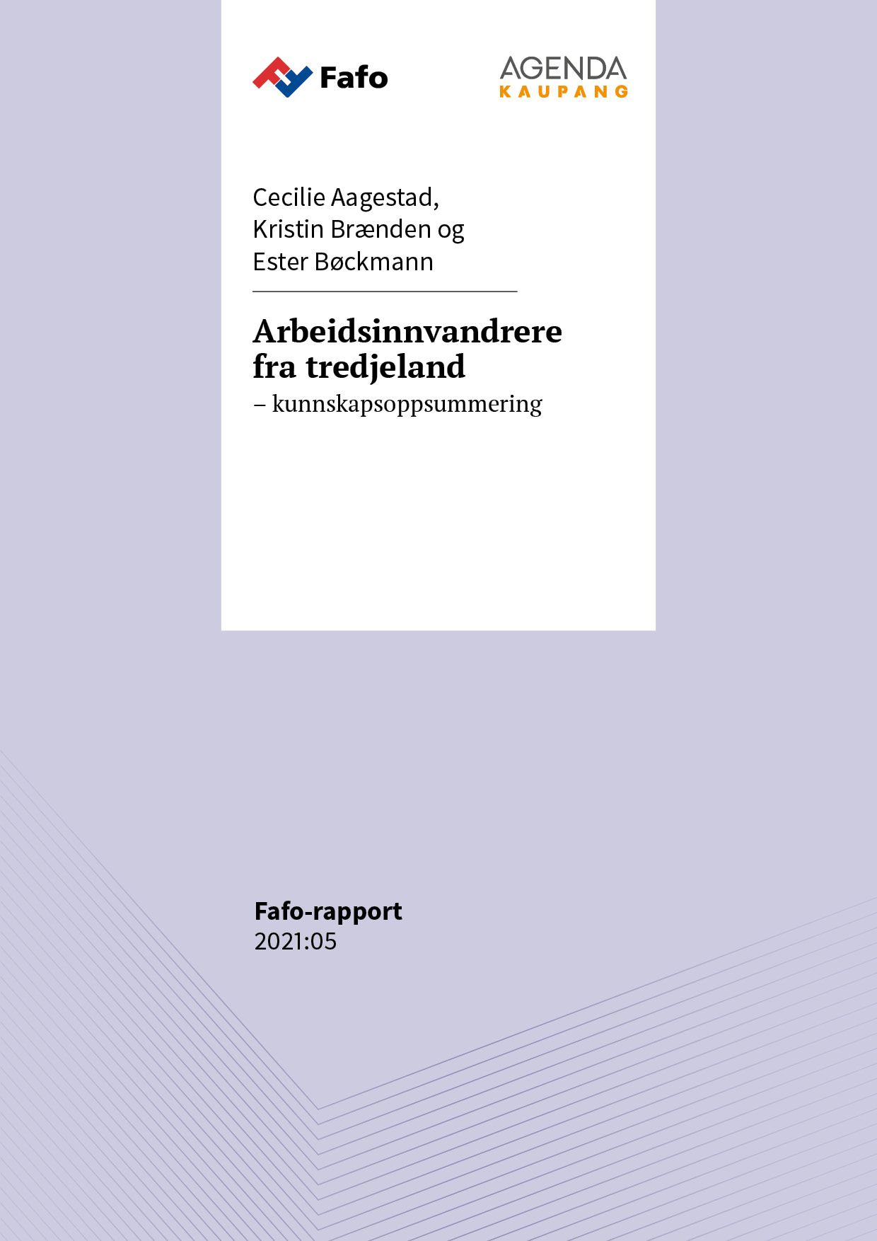 Arbeidsinnvandrere fra tredjeland – kunnskapsoppsummering