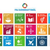 <p>Hvordan står det til med engasjementet for – og kunnskapen om – FNs bærekraftmål hos tillitsvalgte lærere, sykepleiere og forskere? Har profesjonene nok kunnskap om bærekraftmålene og samarbeider de godt nok for å nå dem?</p>
